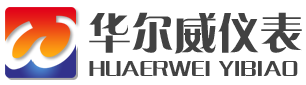 南京華爾威儀表有限公(gōng)司